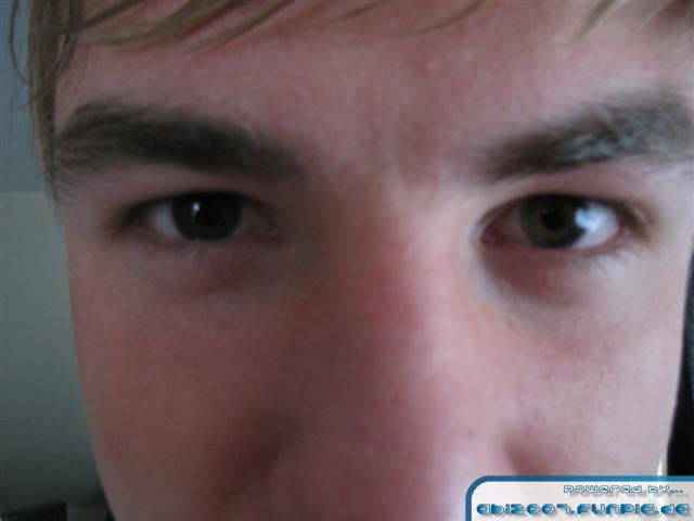 Bild 35