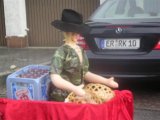 Bild 48